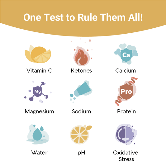 Vivoo Wellness Test 2 Month Bundle (8 tests) - Vivoo Health